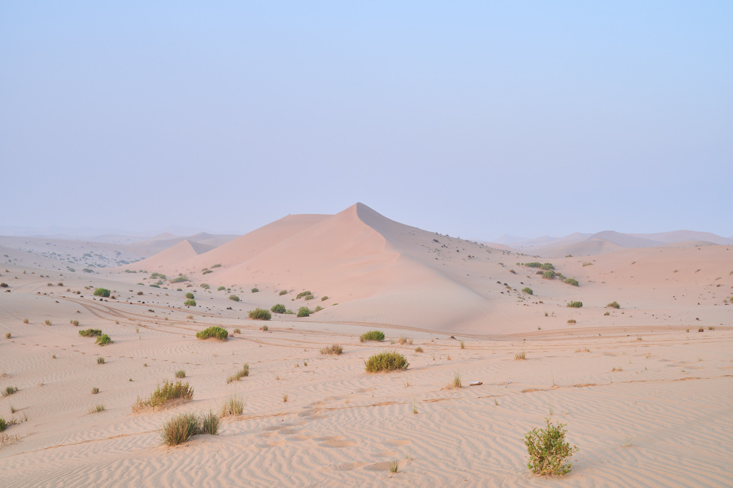Desert - Abu Dhabi
